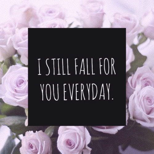 mostbeautifulquotes:  The Most Beautiful Love Quotes