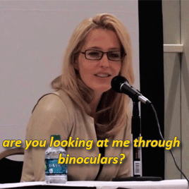 scully1964:  FandomFest 2013 