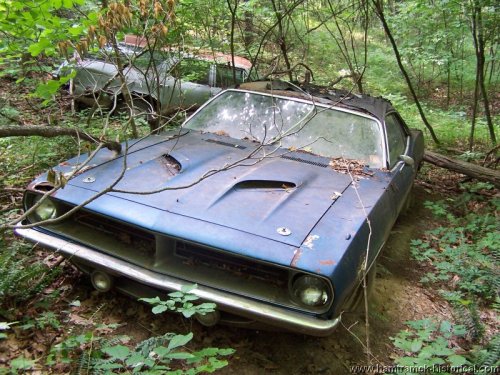 yes the holy grail of muscle !!!!!!  cuda