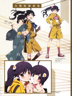 Monogatari Series Heroine Book Volume 7 - Fire Sisters