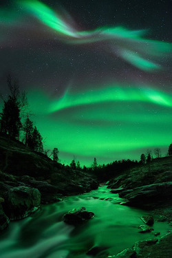 premiums:  Night of Wonder  by Arild Heitmann