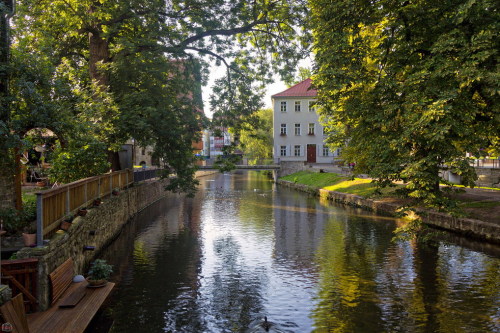 allthingseurope:Erfurt, Germany (by Ralf Kreuse)