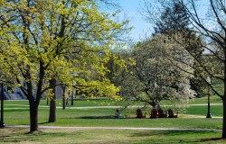 danlophotography:  Middlebury in Spring |