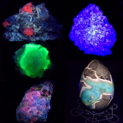 Let it Glow! UV reactive minerals, clockwise top left: Ojuela mine fluorite (red), UK green fluorite