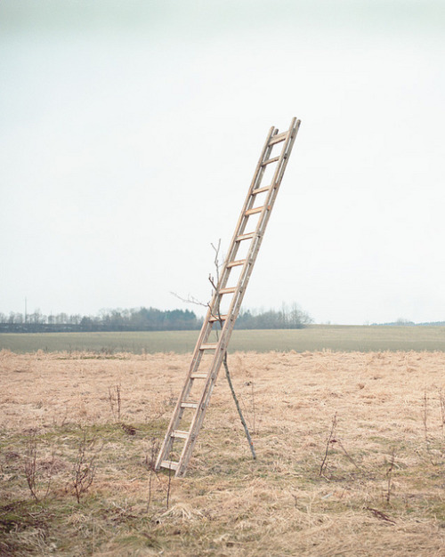 lafilleblanc:  Sebastian ReiserSculpture, 2011