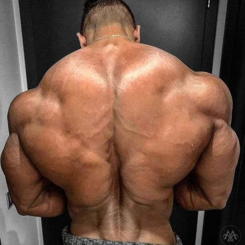 ID? ——————————————— #muscularworld @muscular_world · · · · · #HappyMonday #motivationalmonday #posit