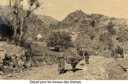  Photographies de Roger Enria, « Les Chasseurs de l’Akfadou : Kabylie 1955-1962 ». Région des At Yeǧ