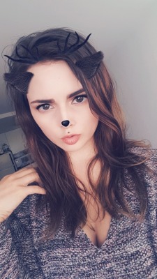 kittenirl:  grump 🦌