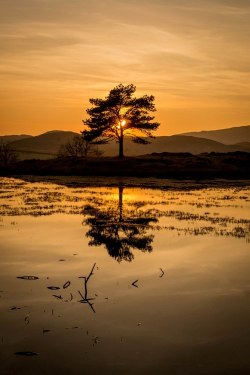 nonconcept:  &ldquo;Golden Sunset&rdquo;, Torver, UK by Bardsea Photography. 