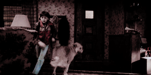 When You’re Running From Demogorgons But Your Dog Missed You All Day Long