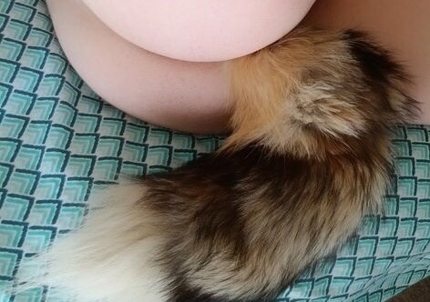 Red BottomKitten In Heels