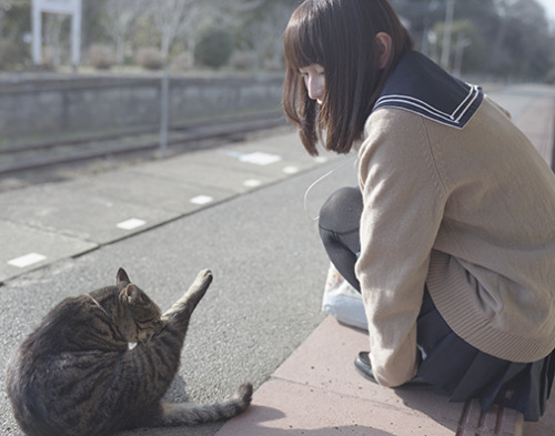 tkfilm:  thank you mao 1402