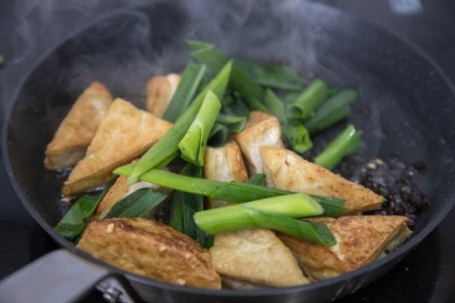 foodffs:Pan-fried Tofu with Black Bean SauceFollow for recipesIs this how you roll?