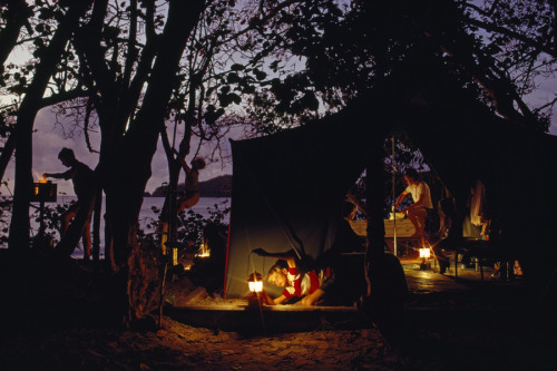 Campers prepare a meal beneath sea grape trees. Cinnamon Bay, Virgin Islands, 1968.Photograph by Jam
