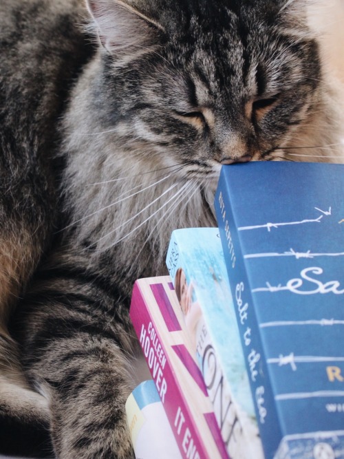 thefaithfulreader:Sophie’s so in love with books