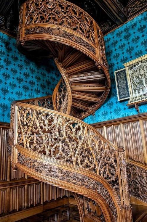 architecturealliance:This spiral staircase carved from a single tree in 1851 - located in Lednice Ca