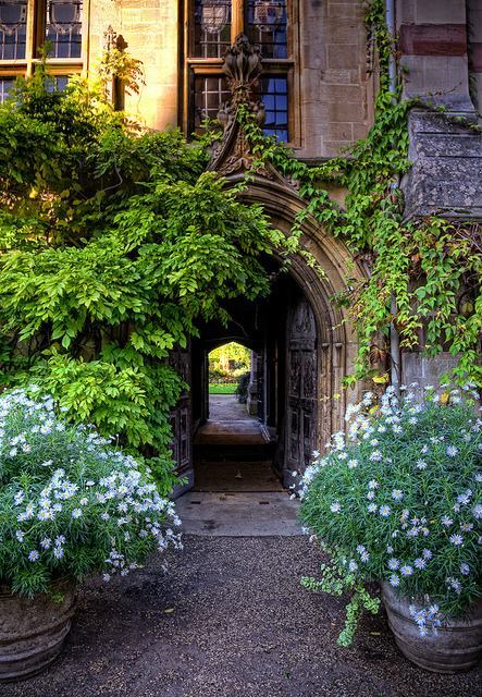 quo-usque-tandem:Oxford, England