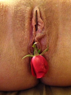 ftwaynewaitress:  No thorns on this rose damn girl!  Thanks for the submission i love it!  Now i kinda want to smell it…