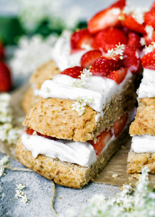 witchkitch:  Strawberry Elderflower Scone Cake2 cups Flour* (abundance, prosperity, grounding) 