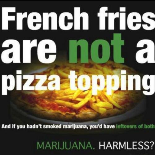 dakotaaaa: This is actually the most convincing anti-pot add I’ve ever seen.  most french fries dont reheat well so I dunno its a good idea