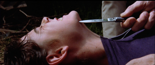 filmstrukk:The Outsiders (1983) Dir. Francis Ford Coppola“I used to talk about killing myself all th
