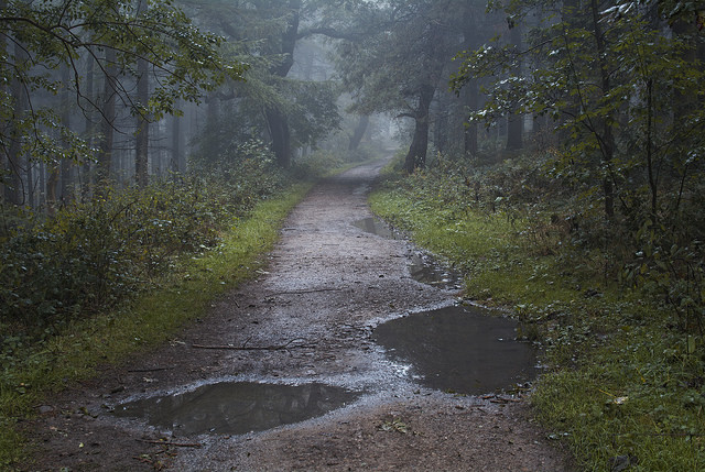 90377:  Puddles by PicFreak42 on Flickr. 