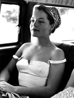 allthroughthenightb:Romy Schneider.