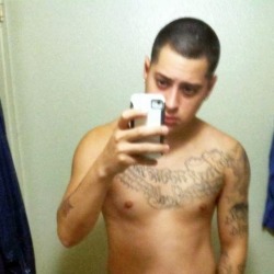 straightkikboys:  Latino Night: Round 2 - 5/10 Another tatted latino Luis from Cali Follow Straight Kik Boys For more!