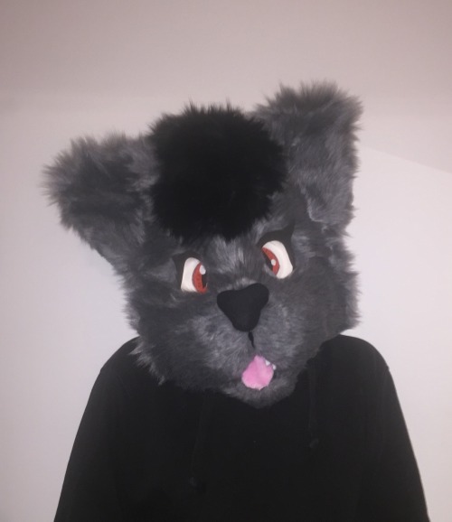 Meet Catesh! Her head was finished today, the body follows. If you want to meet her in furson you ne