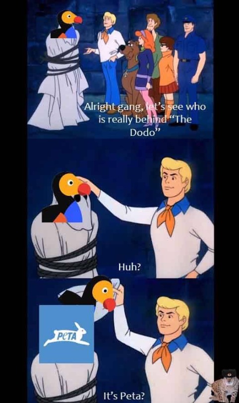 why-animals-do-the-thing: wildlife-conservationist:  As much as I massively dislike The Dodo and think it does a major disservice to the general public understanding of animal behavior, this meme is not correct.  PETA does not run the Dodo. The Dodo