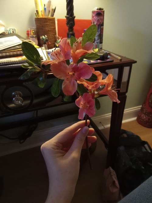 I Was Given This Flower