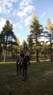 Weareescapingvelocity:  Dressage In The Forest Is Only Way To Do It