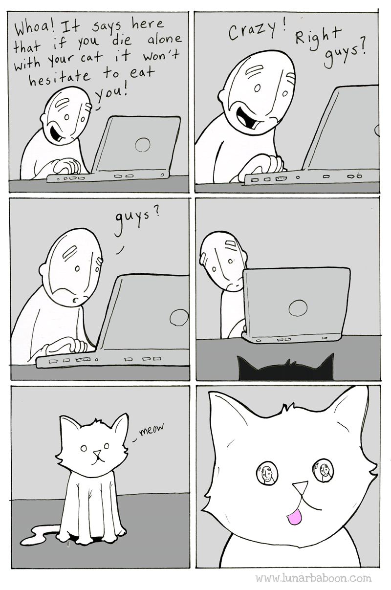 lunarbaboon:  www.lunarbaboon.com Kickstarter: Get a book! 