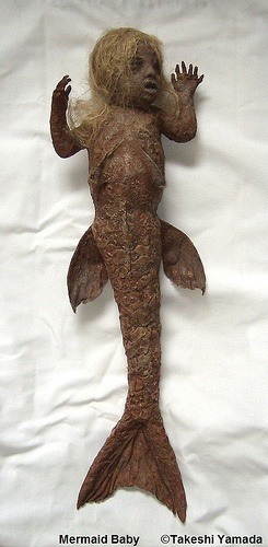 Mermaid Baby (by Museum of World Wonders (Dr. Takeshi Yamada))