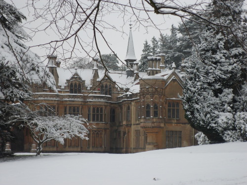 travels-ofadreamer: Tyntesfield, Somerset