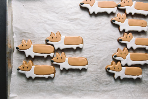 sweetoothgirl: Gingerbread Corgi Cookie