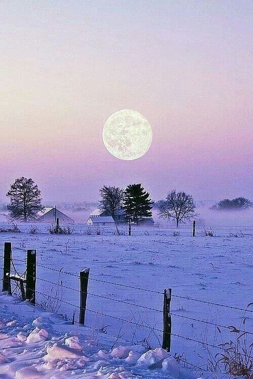 whisperofvintage:  whisperofvintage