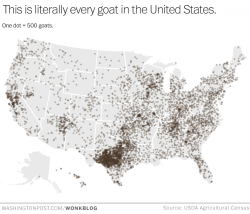 ilovecharts:  Literally every goat in the United States  LOOK! EVERY GOAT! You TEXANS PLEASE LOAN ME A FEW GOATS!!!  somecallmetracy could ya send me a few goats? I&rsquo;m lactose intolerant and for some reason the goats here are &ldquo;kidding&rdquo;