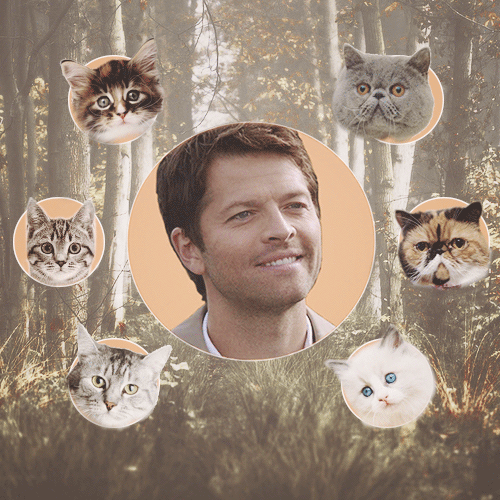 queenabaddon:sam with dogs / dean with pie