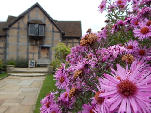 William Shakespeare’s Birthplace, Stratford-upon-Avon