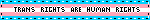 trans rights are human rights