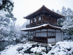 expressions-of-nature:  Kyoto Prefecture, Japan by Norihiro Kataoka