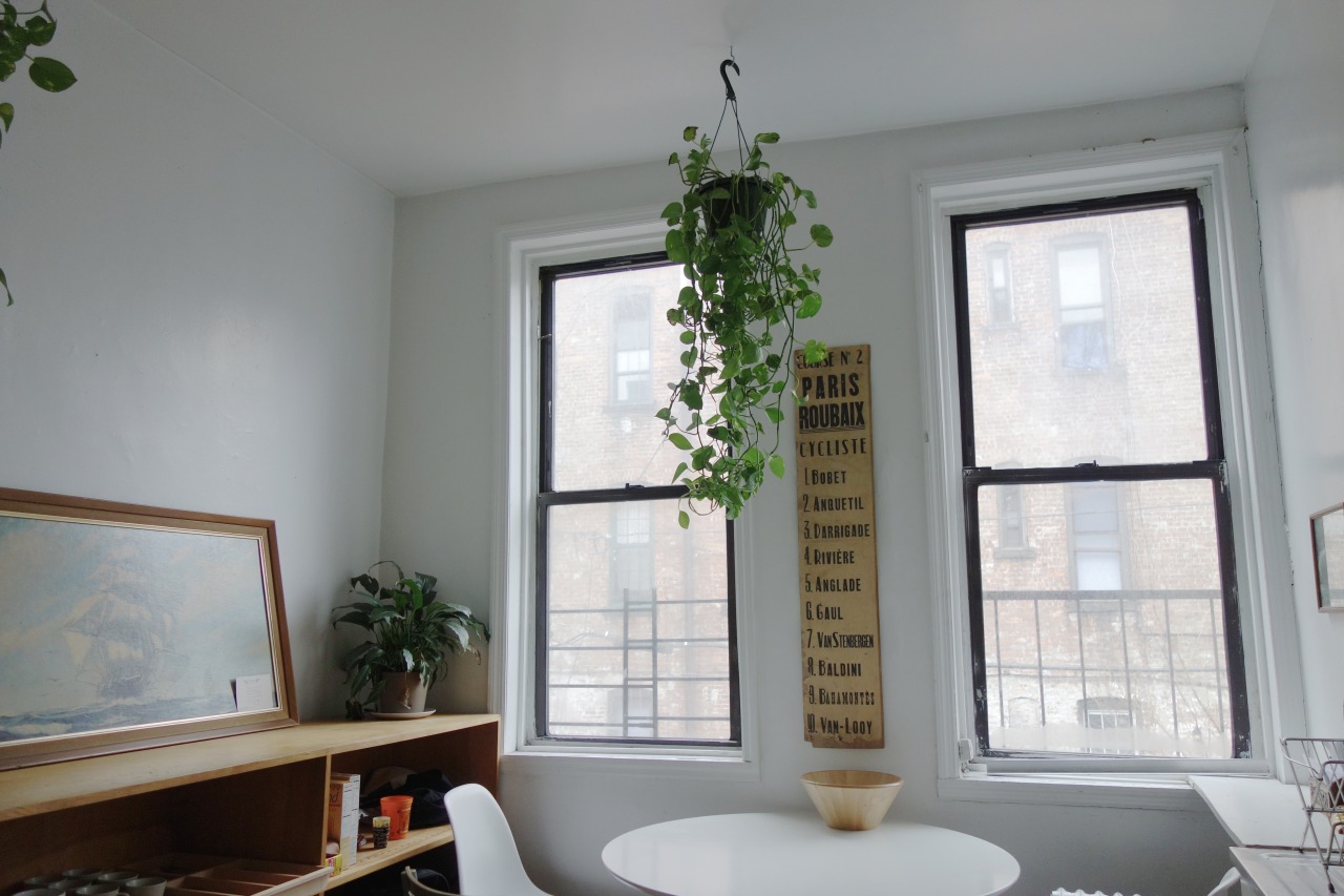 minutie:  a friend’s apartment in brooklyn, march 2015 