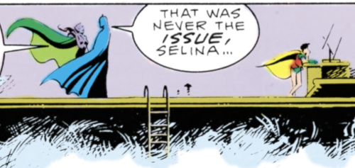 autisticredhood:losing it over selina & bruce having A Moment while jason is just facing away li