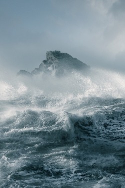 wolverxne:  Marine (Dorset) | by: [David
