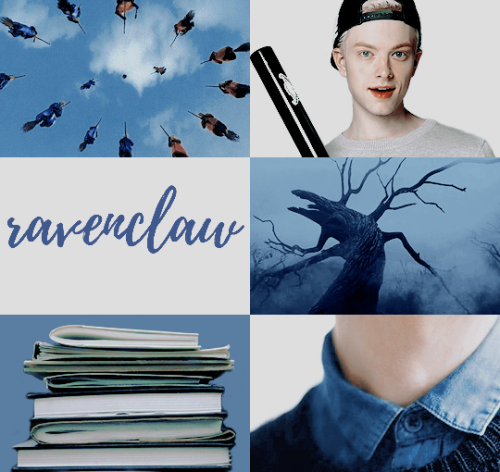 the foxhole court hogwarts au: Danielle Leigh Wilds, Muggle-born, Gryffindor Seeker & CaptainKev