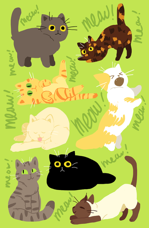 stripedjumpers: drew some cats