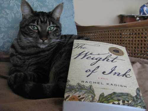 anassarhenisch:First book of the year! (Featuring a second Not Our Cat.)