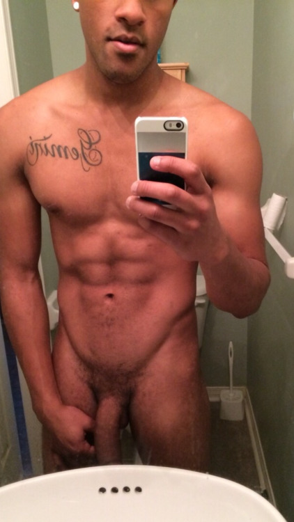 dominicanbamboo2:  DB #376 