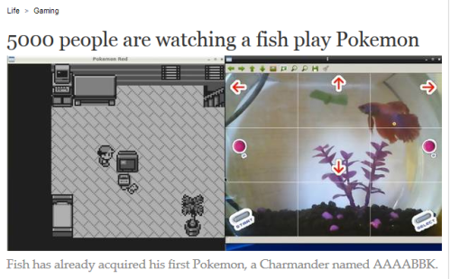 mike-peace - callipop - no you dont understand the charmeleon is...